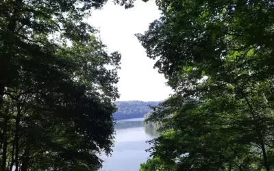 Brand New Tidy Campground RV Park Dale Hollow Lake Views 5 Star 👍
