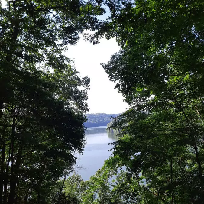 Campsite Dale Hollow Lake