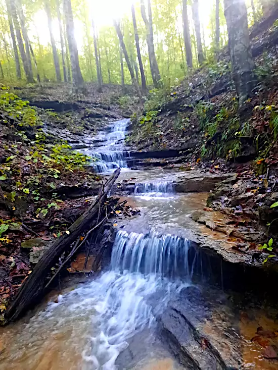 Campsite Dale Hollow Lake Water Fall