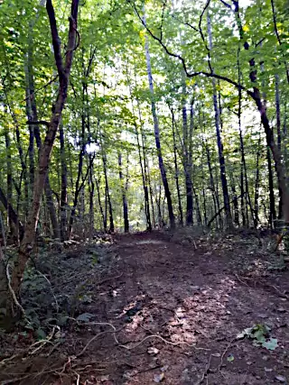 RV Park Dale Hollow Lake Views
